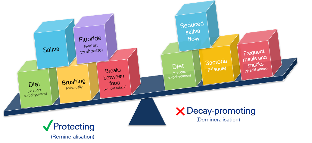 A scale of protecting vs decay promoting factors